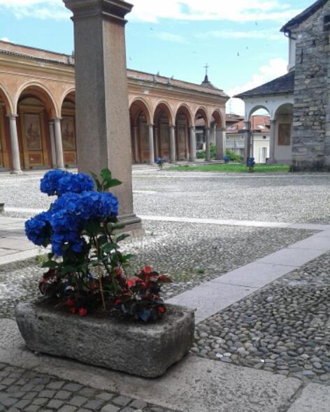 Hotel Elvezia Lake Maggiore Экстерьер фото
